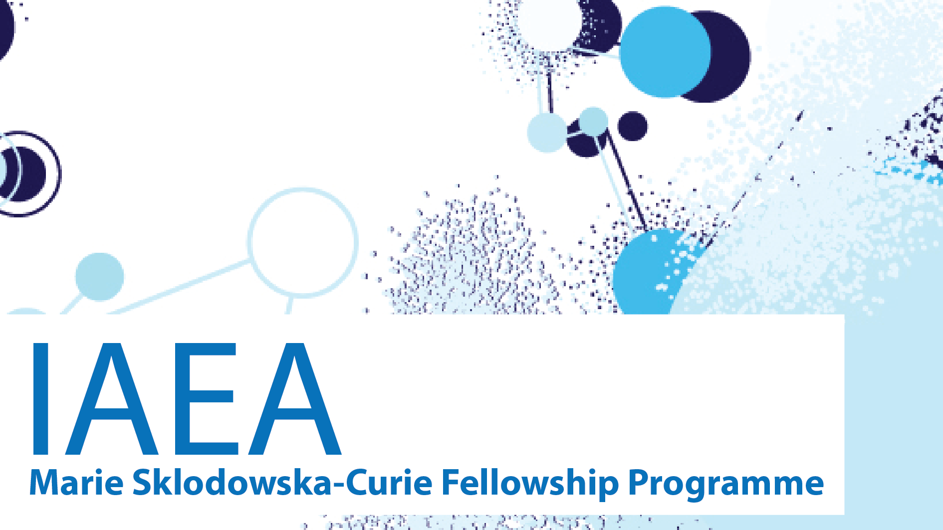 Marie Sklodowska-Curie Fellowship Programme