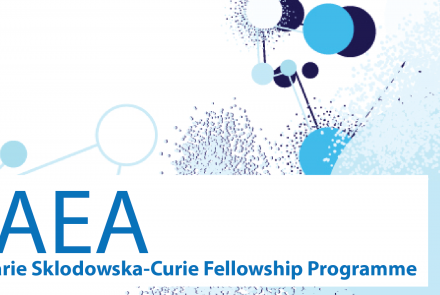 Marie Sklodowska-Curie Fellowship Programme